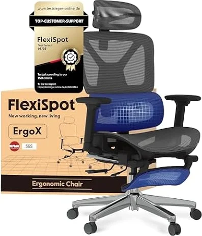 FLEXISPOT Ergonomischer Bürostuhl ErgoX Lite Grau